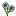 light_gray_mystical_flower