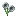 light_gray_shiny_flower
