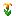 orange_shiny_flower