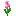 pink_mystical_flower
