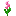 pink_shiny_flower