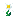 Pure Daisy