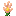 Rannuncarpus