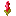 red_shiny_flower