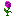 Rosa Arcana
