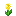 yellow_shiny_flower