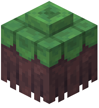 Hoary Apple Block