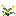 Honeysuckle