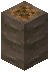 Palm Log