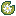 big_flower_lily_pad