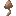 brown_mushroom_bulb
