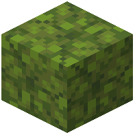 crunchy_moss_block