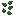 dark_micro_lily_pads