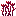 flowered_crimson_roots