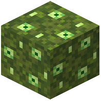 lime_moss_block
