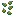 micro_lily_pads
