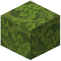 old_moss_block
