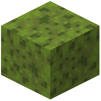 spongy_moss_block