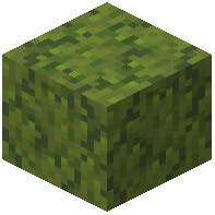 sprinkled_moss_block