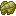 Claw Fossil