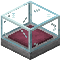 Display Case