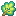 Mirror Herb