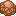 Skull Fossil