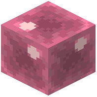 Pink Gel Block