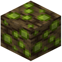 Spore Root Block