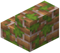 Mossy Dean Brick Stairs
