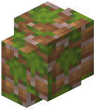 Mossy Dean Brick Wall