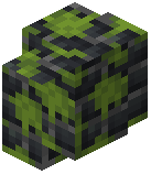 Mossy Dusk Brick Wall