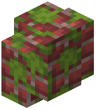 Mossy Scarlet Brick Wall