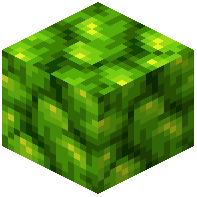 createnuclear:raw_uranium_block