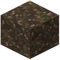 Dry Peat Bog