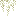 White Hanging Wisteria Leaves