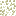 Pile of White Wisteria Leaves