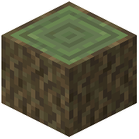 Willow Log