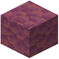 Tentacles Coral Block