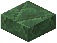 Toxite Brick Slab