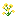 yellow_orchid