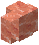 Pink Salt Wall