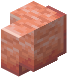 Polished Pink Salt Wall