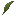 rooibos_leaf