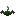 Ghost Fern
