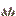Witchweed