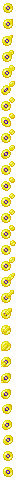 Intersex Pigment