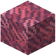 Bamboo Coral Block