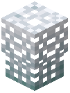 Glass Sponge