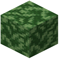 Leaf Coral Block